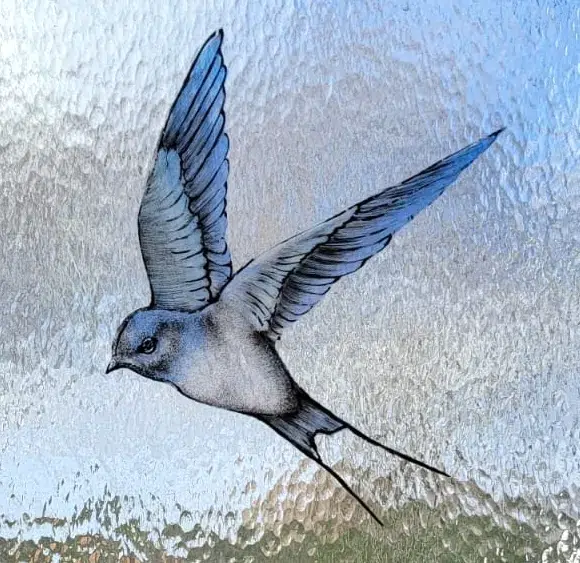 detail vitrail hirondelle email grisaille felzine